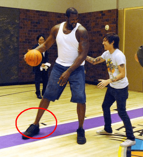 战术板区与 战术板区与